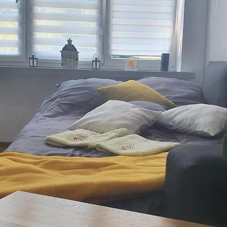 Apartament Park Saski Сандомир Экстерьер фото