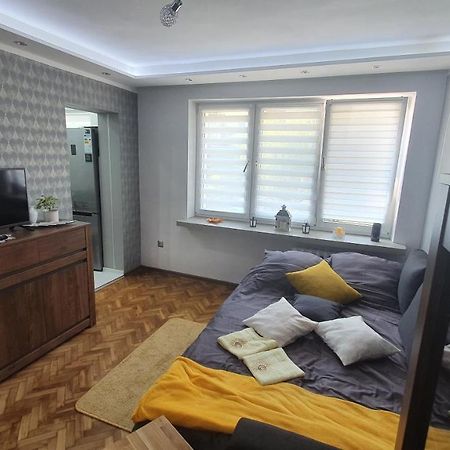 Apartament Park Saski Сандомир Экстерьер фото