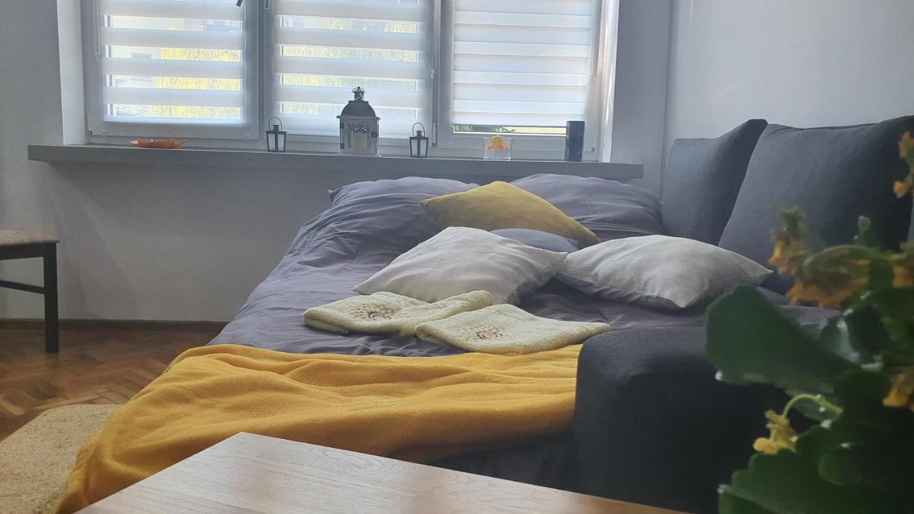 Apartament Park Saski Сандомир Экстерьер фото