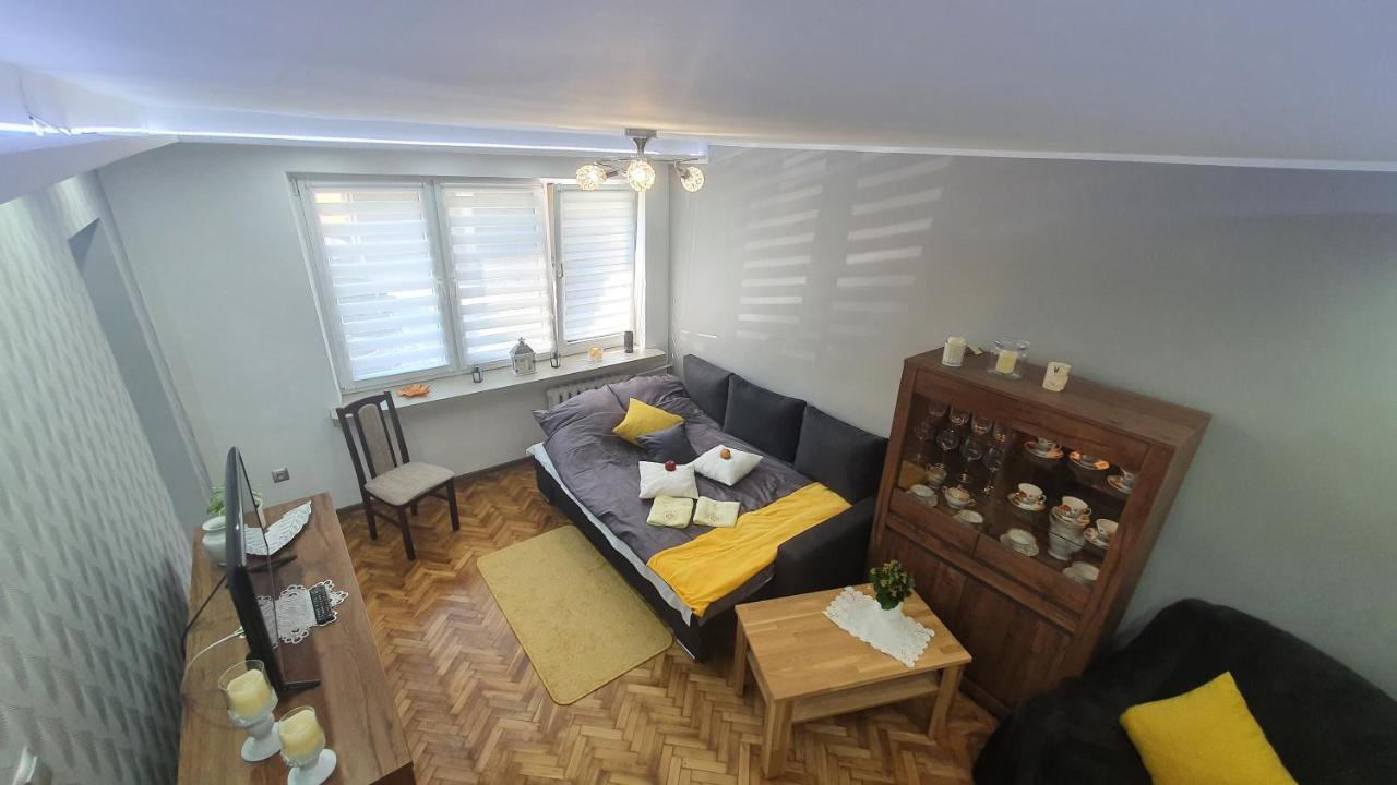 Apartament Park Saski Сандомир Экстерьер фото