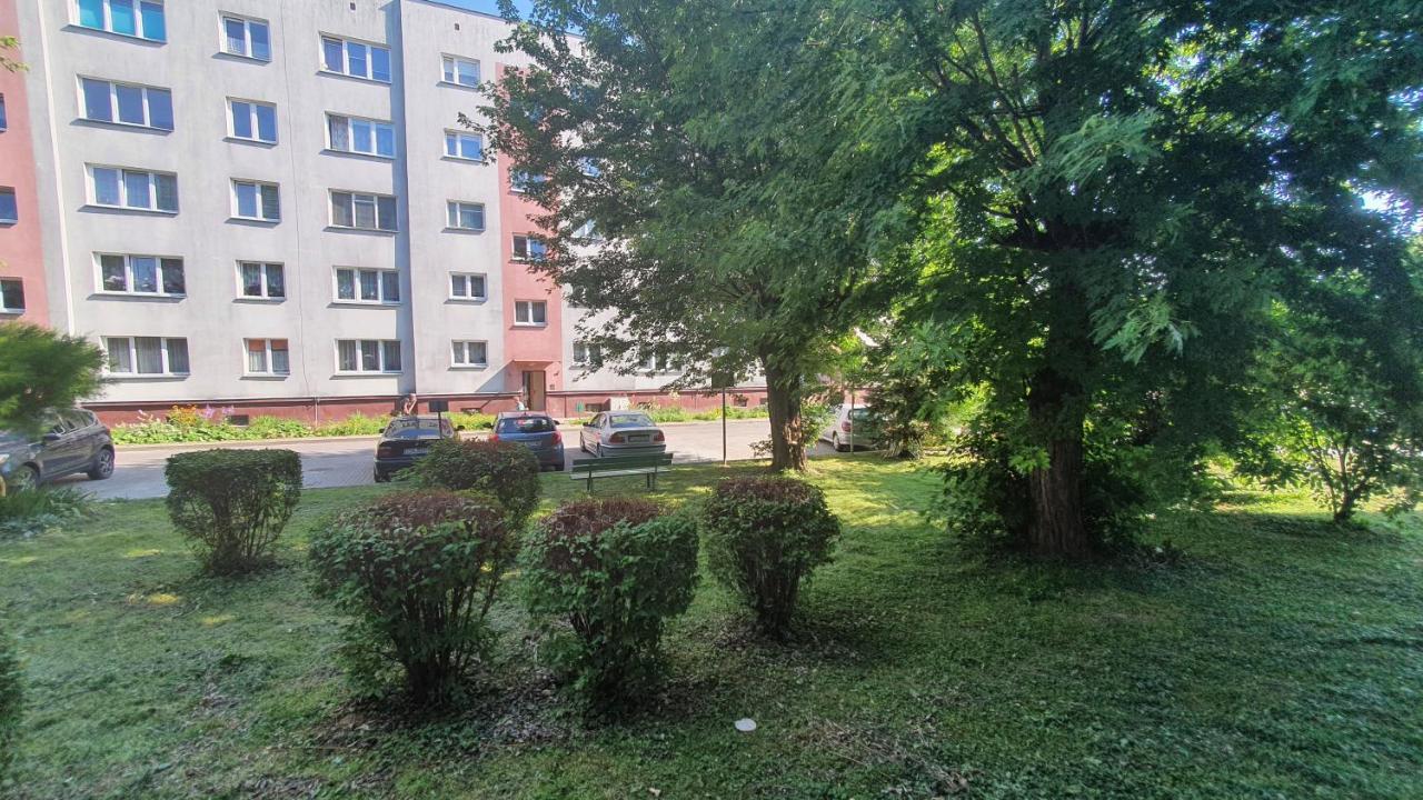 Apartament Park Saski Сандомир Экстерьер фото